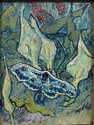 Vincent Van Gogh Butterflies china oil painting artist